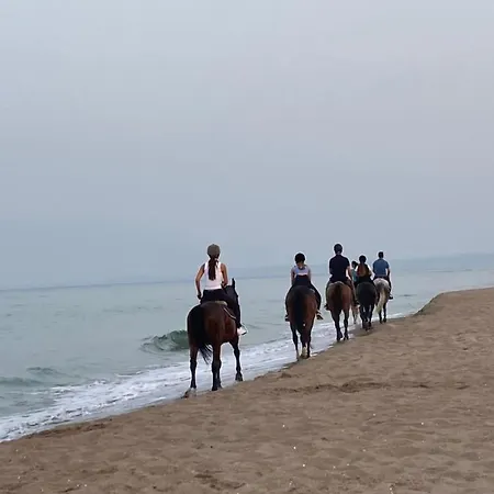 Holiday home Paradiso Degli Aranci Al Mare *